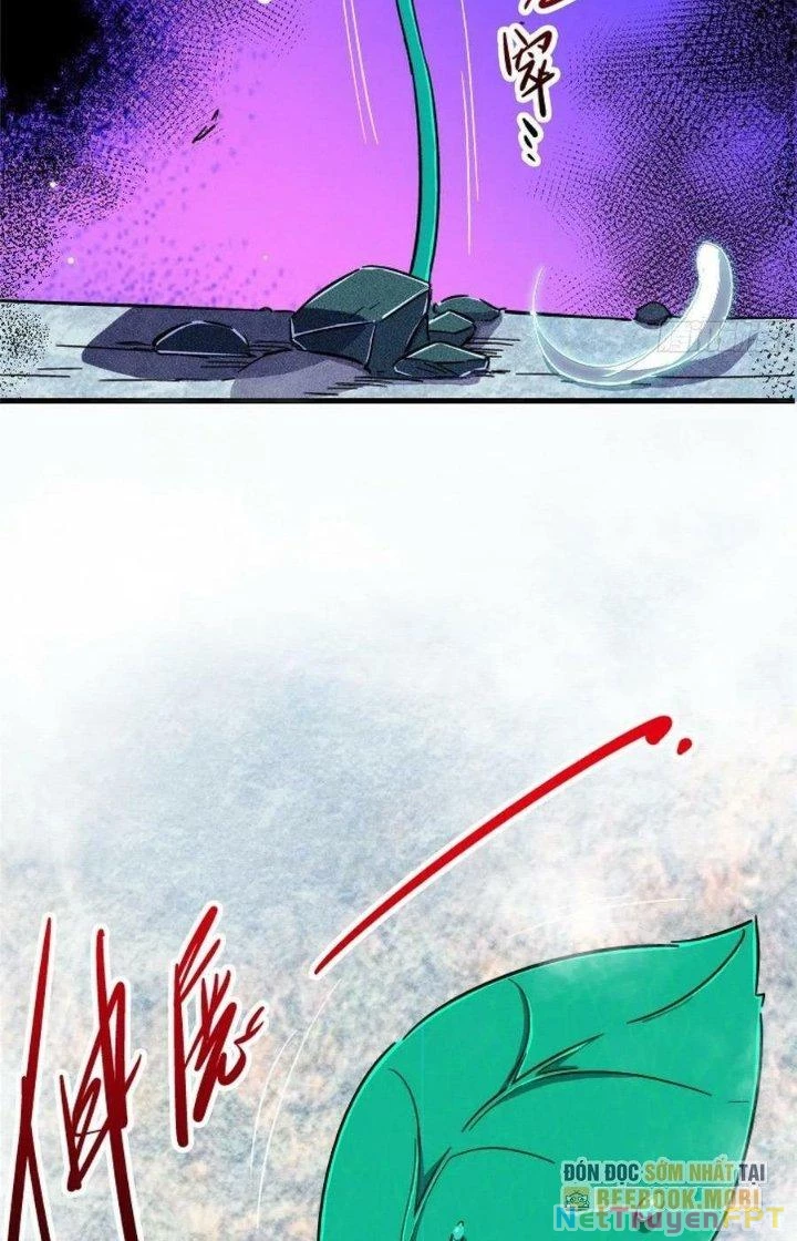 Bắc Liệt Phương Xa Chapter 80 - 25