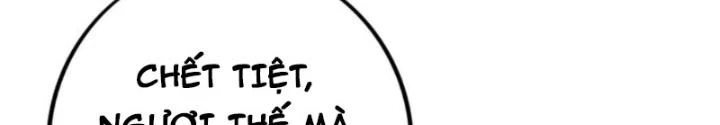 Trọng Sinh 1000 Lần, Ta Vô Địch Chapter 114 - 12