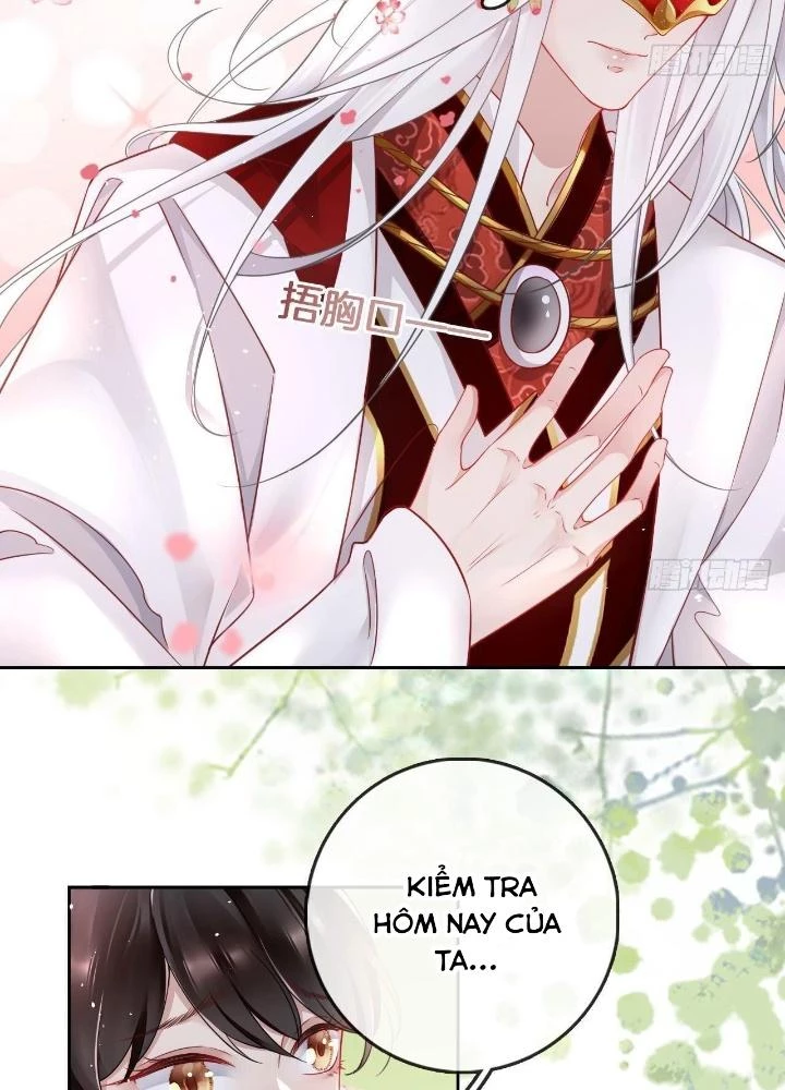 Thiên Hạ Vô Song Chapter 12 - 31