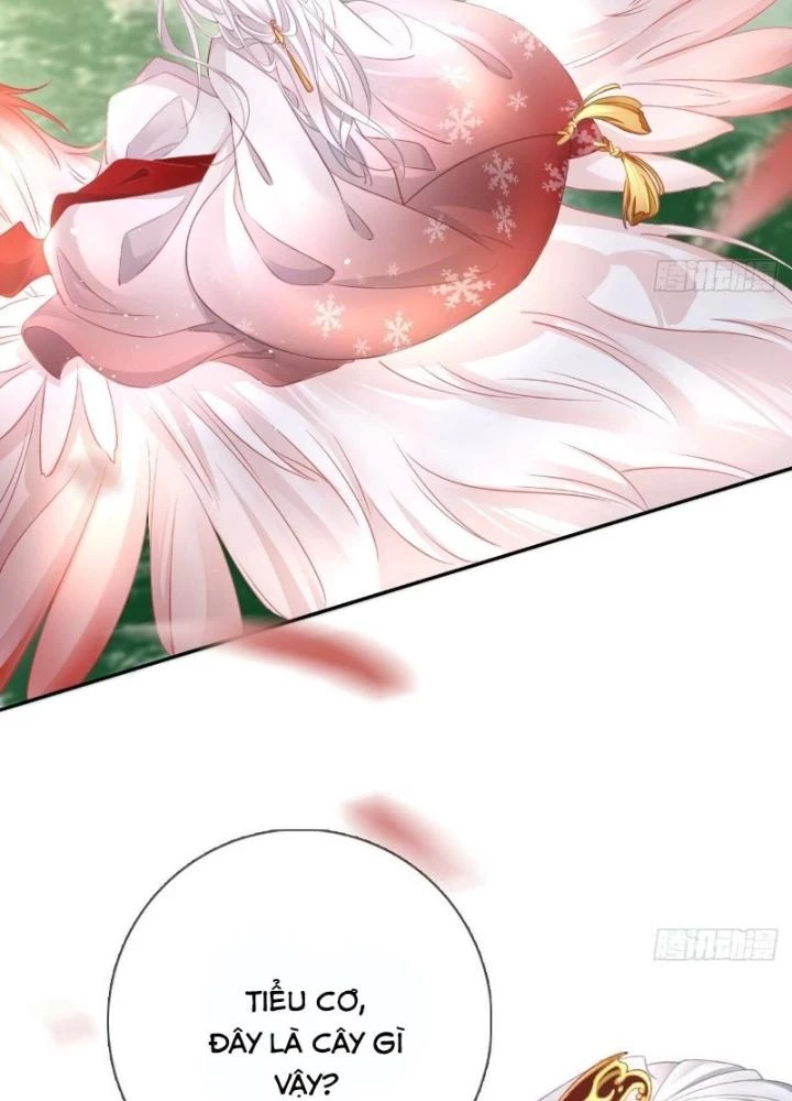 Thiên Hạ Vô Song Chapter 20 - 33