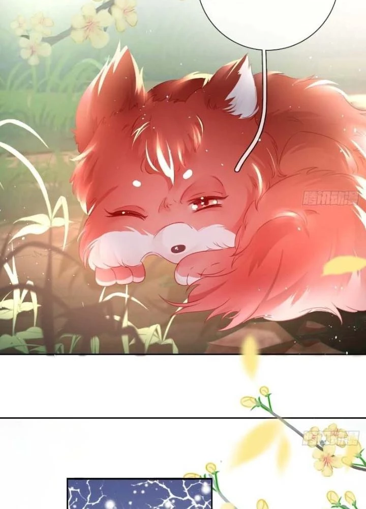 Thiên Hạ Vô Song Chapter 21 - 29