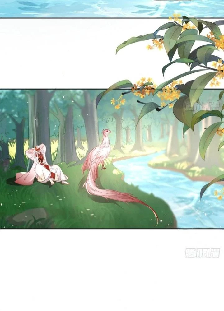 Thiên Hạ Vô Song Chapter 26 - 41