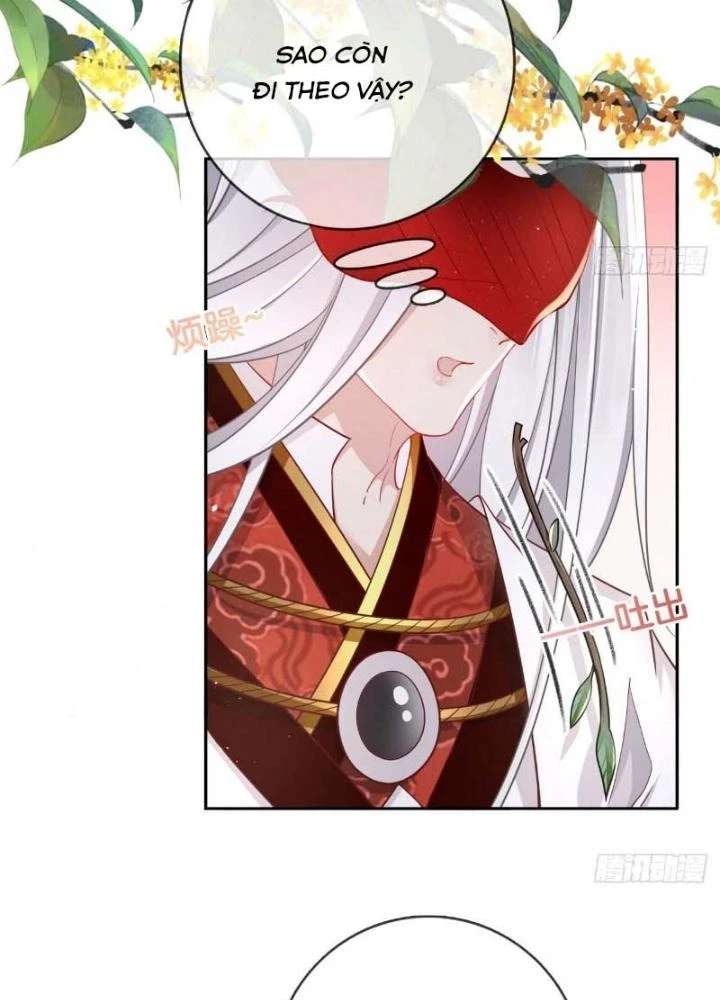 Thiên Hạ Vô Song Chapter 26 - 45