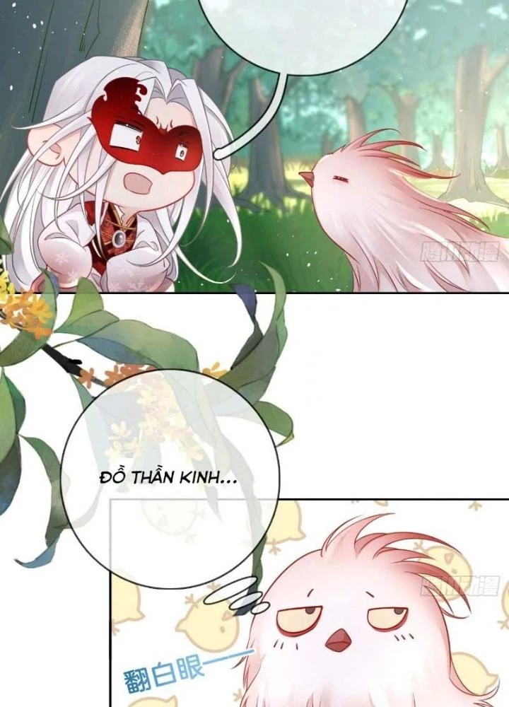 Thiên Hạ Vô Song Chapter 26 - 47