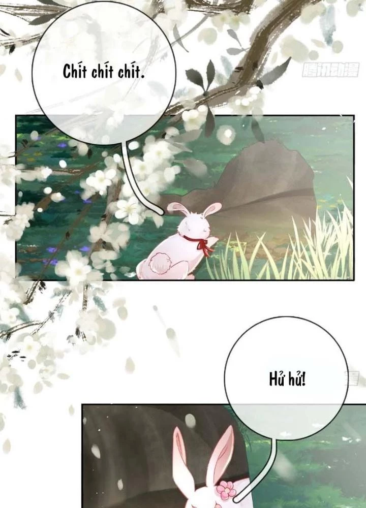 Thiên Hạ Vô Song Chapter 26 - 59