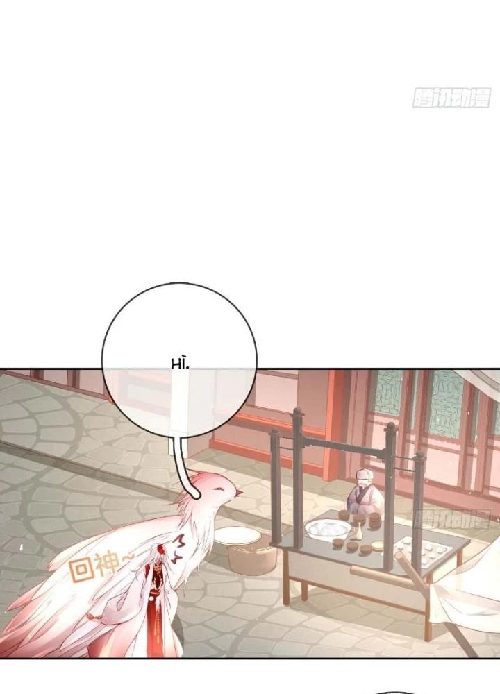 Thiên Hạ Vô Song Chapter 31 - 41