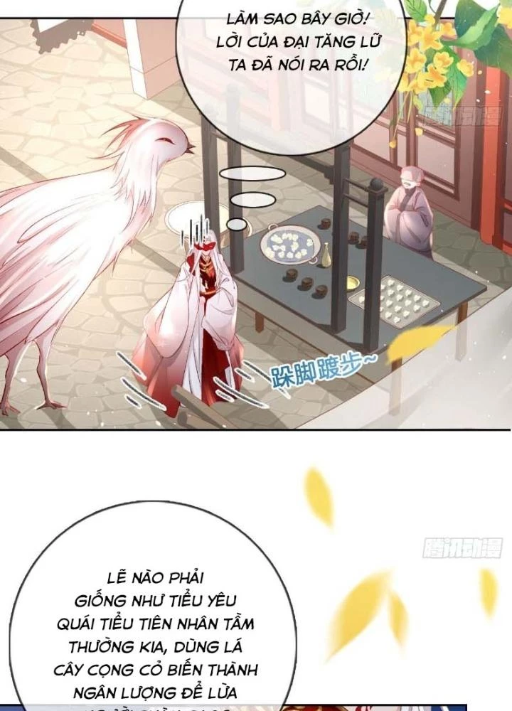 Thiên Hạ Vô Song Chapter 31 - 53