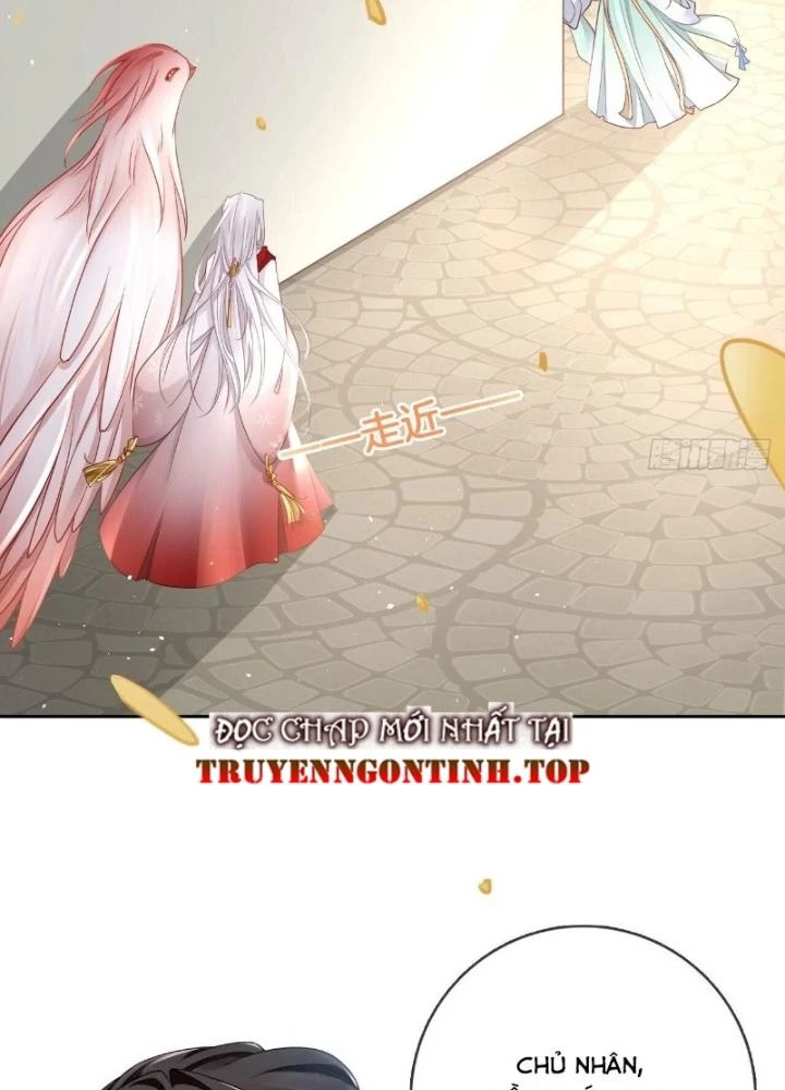 Thiên Hạ Vô Song Chapter 32 - 43