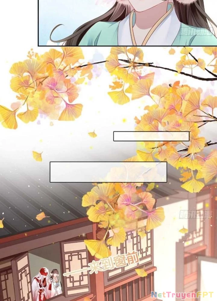 Thiên Hạ Vô Song Chapter 38 - 29