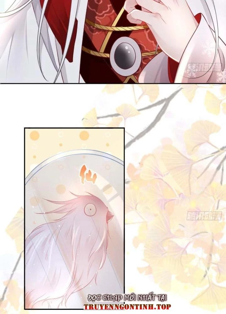 Thiên Hạ Vô Song Chapter 38 - 37