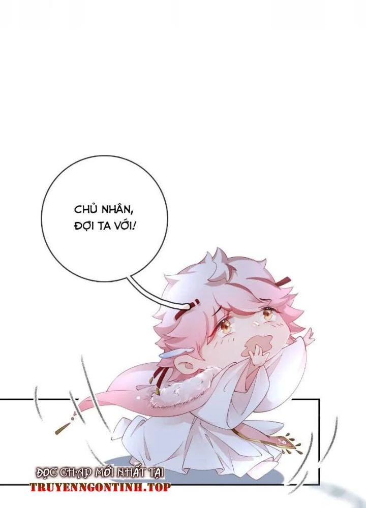 Thiên Hạ Vô Song Chapter 45 - 41