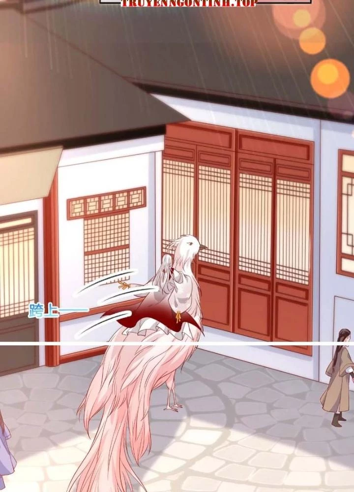 Thiên Hạ Vô Song Chapter 53 - 45