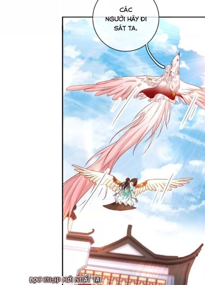 Thiên Hạ Vô Song Chapter 53 - 57