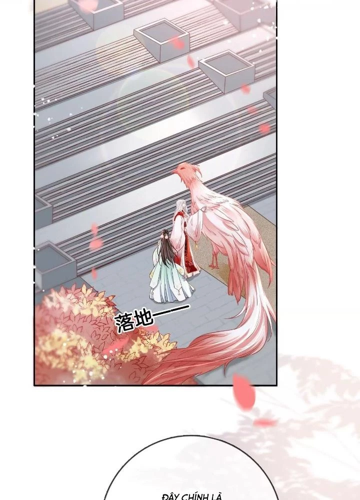 Thiên Hạ Vô Song Chapter 68 - 11