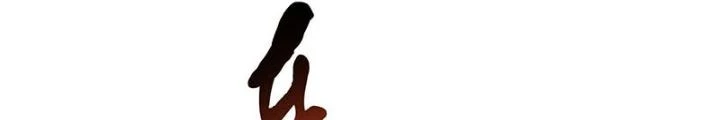 Nam Chủ Và Hậu Cung Đều Là Của Ta Chapter 56 - 110