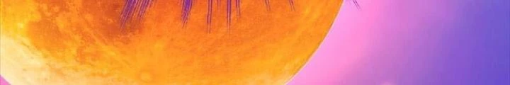 Nam Chủ Và Hậu Cung Đều Là Của Ta Chapter 77 - 16