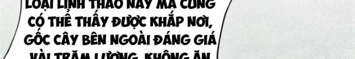 Đạo Hữu Xin Bớt Giận Chapter 24 - 54