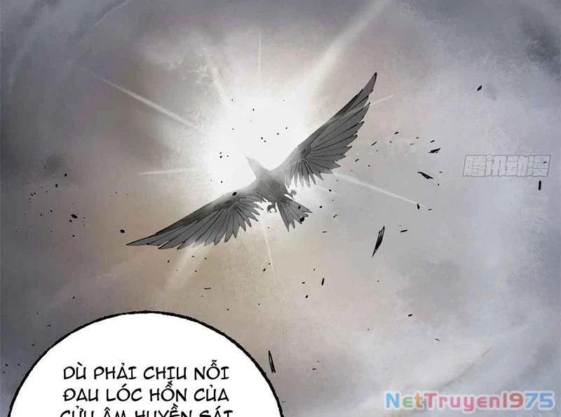 Xích Tâm Tuần Thiên Chapter 2 - 12