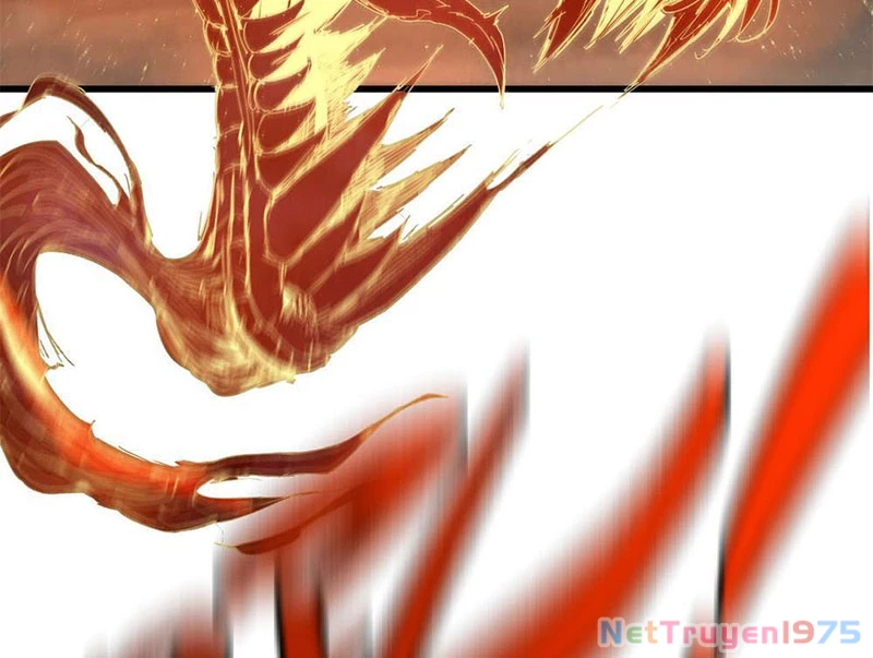 Xích Tâm Tuần Thiên Chapter 3 - 10