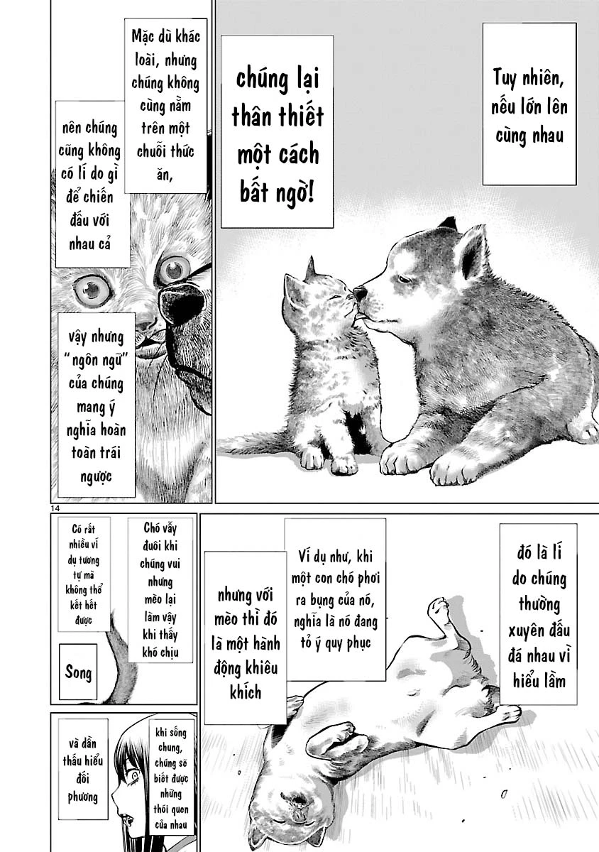 Killing Bites Chapter 39 - 17