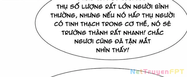 Tổ Sư Xuất Sơn Chapter 52 - 51