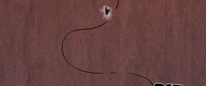 Hành Tẩu Âm Dương Chapter 2 - 227