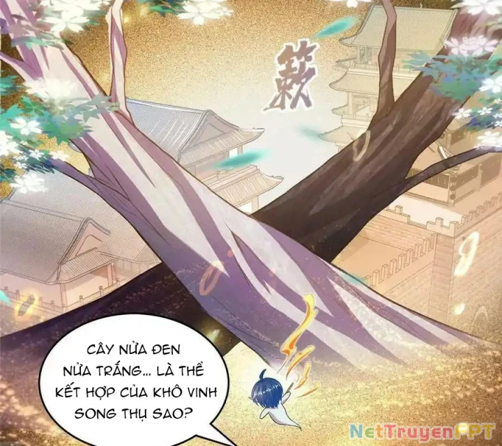 Tu Chân Nói Chuyện Phiếm Quần Chapter 508 - 75