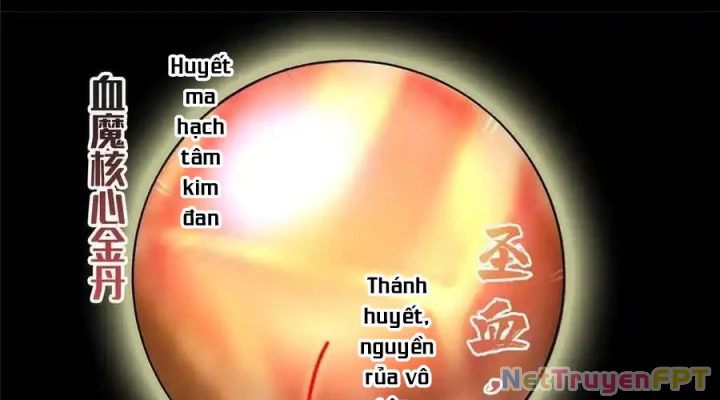 Tu Chân Nói Chuyện Phiếm Quần Chapter 528 - 62