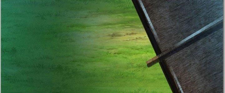 Ta Được Nuôi Dưỡng Bởi Nữ Ma Đầu Chapter 39 - 191