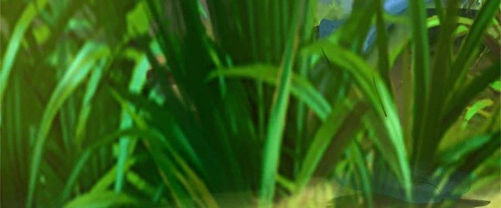 Ta Được Nuôi Dưỡng Bởi Nữ Ma Đầu Chapter 49 - 132
