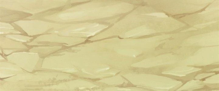 Ta Được Nuôi Dưỡng Bởi Nữ Ma Đầu Chapter 50 - 68