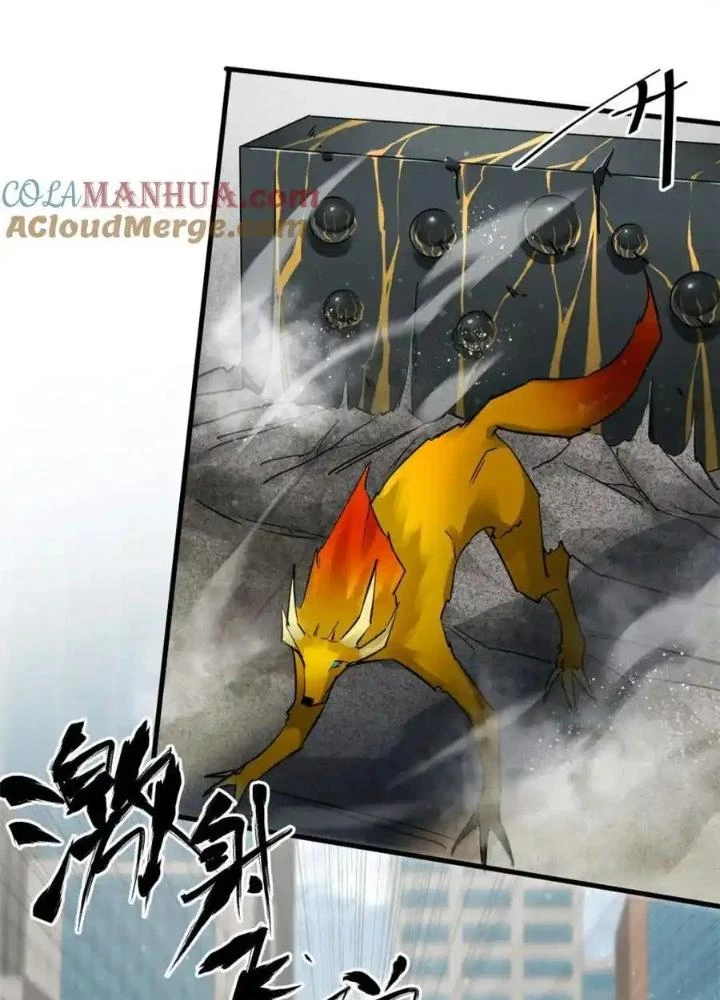 Luân Bàn Thế Giới Chapter 210 - 13