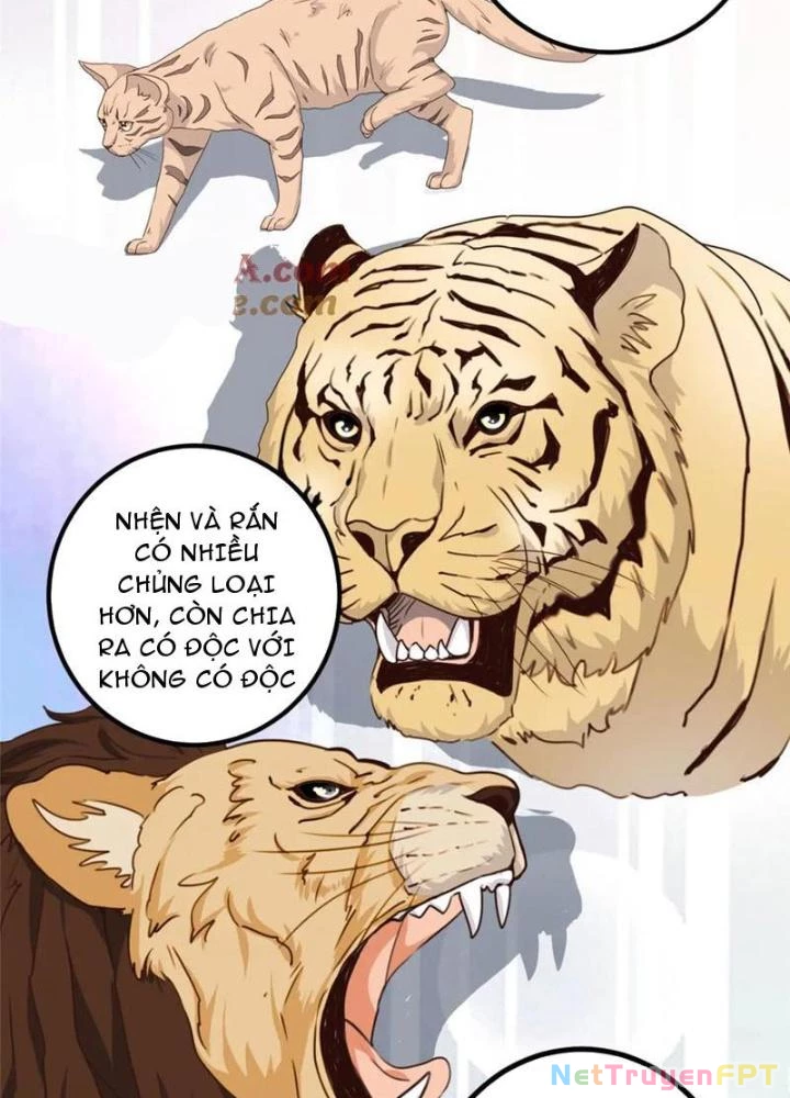 Lão Ba Cho Tôi Lựa Một Trong Mười Nữ Thần Để Kết Hôn Chapter 126 - 27