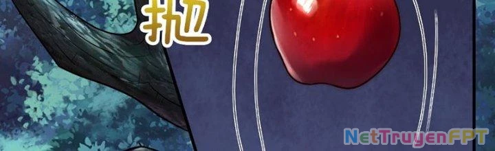 Cẩu Lương Thành Chuẩn Thánh, Ta Được Nữ Đế Triệu Hoán Chapter 13 - 53