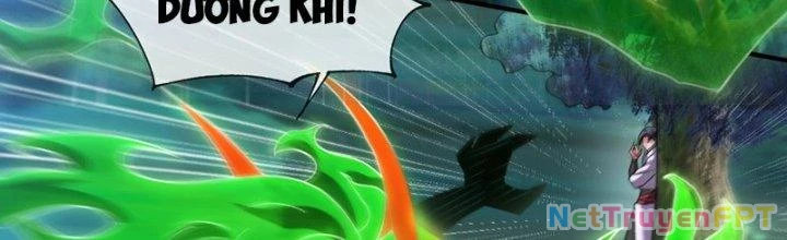 Cẩu Lương Thành Chuẩn Thánh, Ta Được Nữ Đế Triệu Hoán Chapter 13 - 73