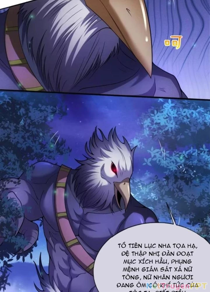 Cẩu Lương Thành Chuẩn Thánh, Ta Được Nữ Đế Triệu Hoán Chapter 50 - 63