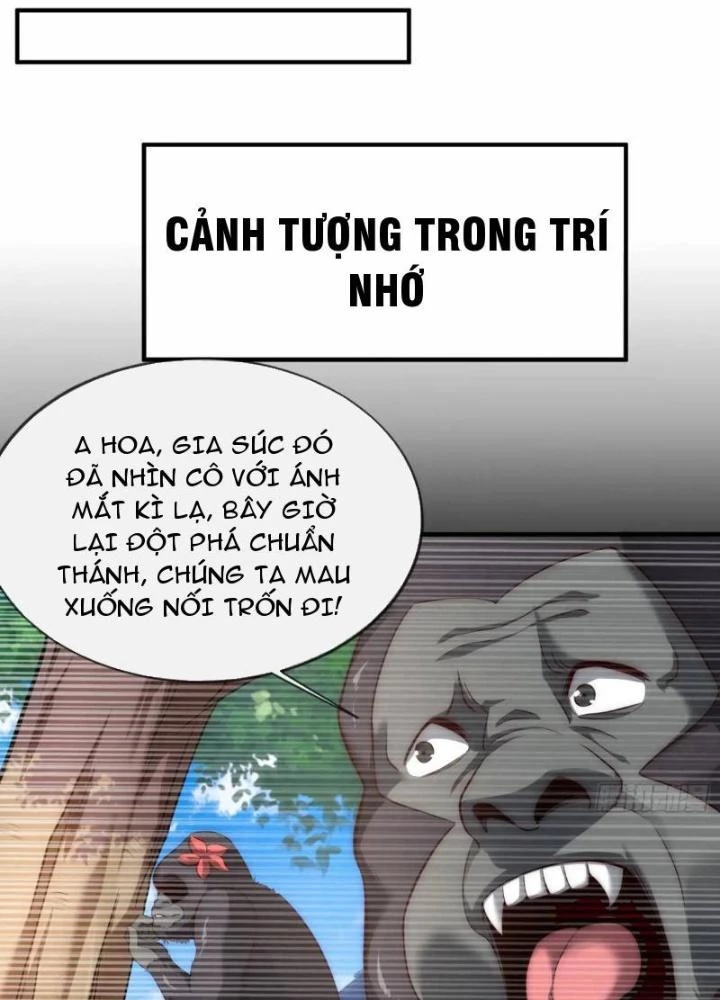 Cẩu Lương Thành Chuẩn Thánh, Ta Được Nữ Đế Triệu Hoán Chapter 56 - 37
