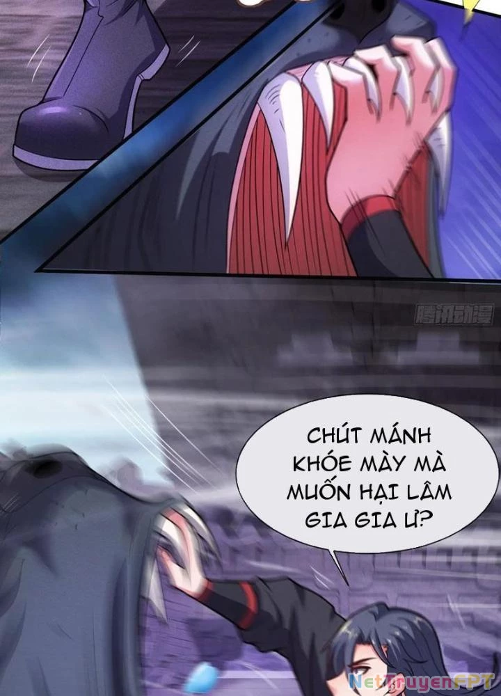 Cẩu Lương Thành Chuẩn Thánh, Ta Được Nữ Đế Triệu Hoán Chapter 62 - 9