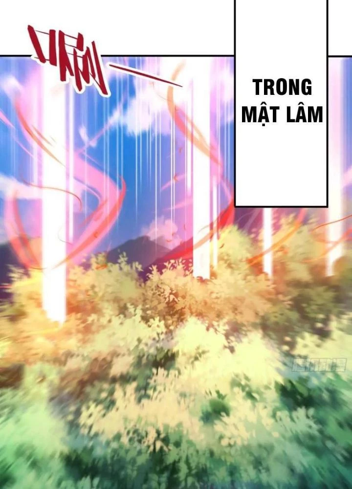 Cẩu Lương Thành Chuẩn Thánh, Ta Được Nữ Đế Triệu Hoán Chapter 77 - 47
