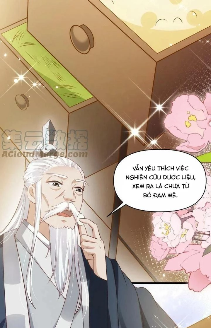 Tiểu Manh Bảo Bốn Tuổi Theo Sư Phụ Xuống Núi Chapter 91 - 13