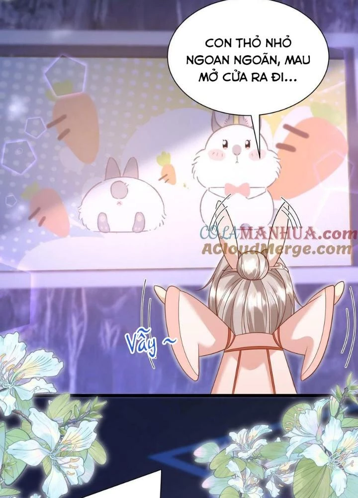 Tiểu Manh Bảo Bốn Tuổi Theo Sư Phụ Xuống Núi Chapter 116 - 25