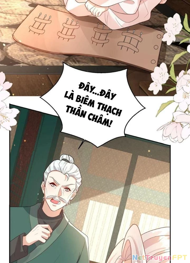 Tiểu Manh Bảo Bốn Tuổi Theo Sư Phụ Xuống Núi Chapter 138 - 13