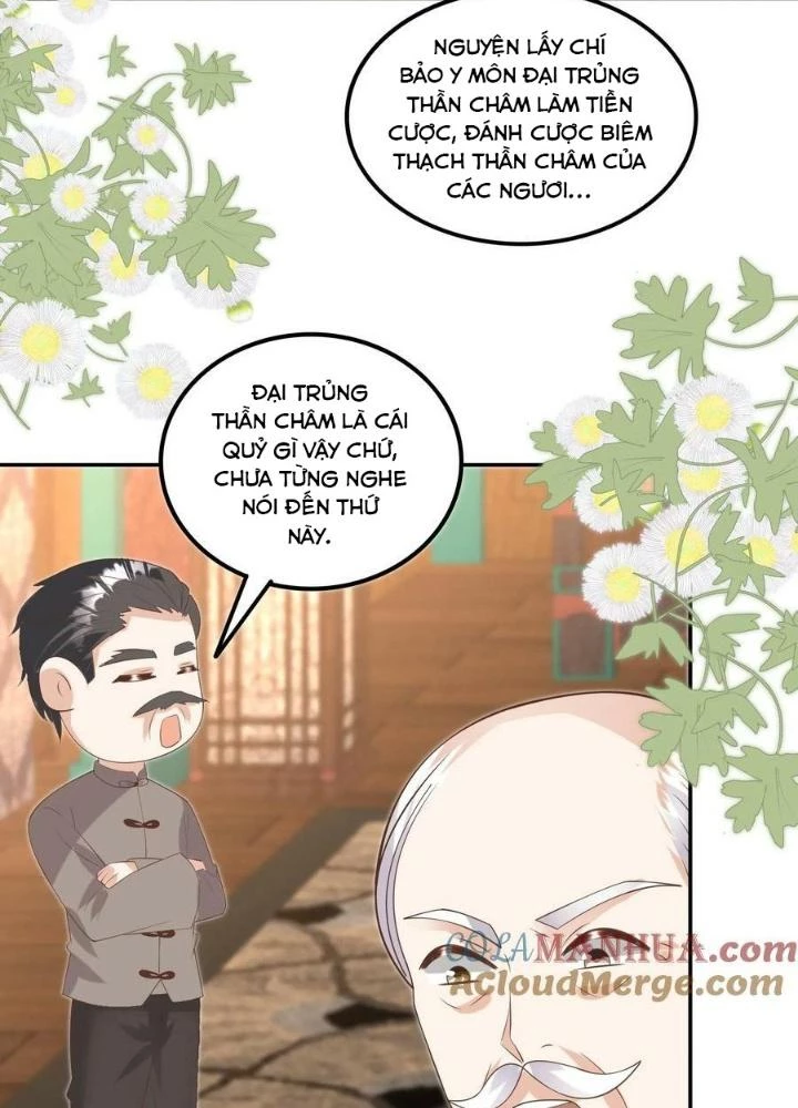 Tiểu Manh Bảo Bốn Tuổi Theo Sư Phụ Xuống Núi Chapter 184 - 13
