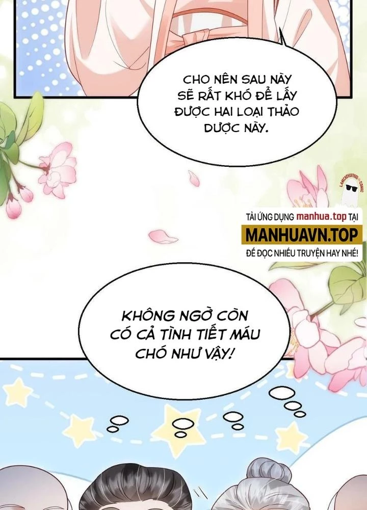 Tiểu Manh Bảo Bốn Tuổi Theo Sư Phụ Xuống Núi Chapter 207 - 5