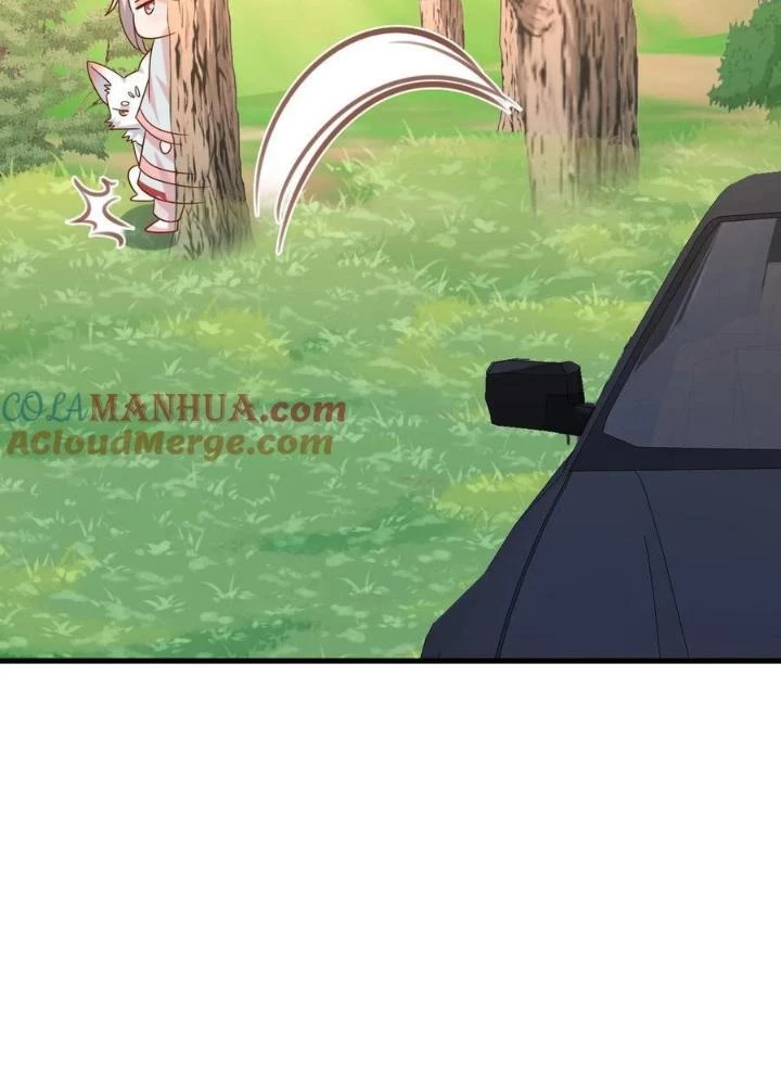 Tiểu Manh Bảo Bốn Tuổi Theo Sư Phụ Xuống Núi Chapter 217 - 29