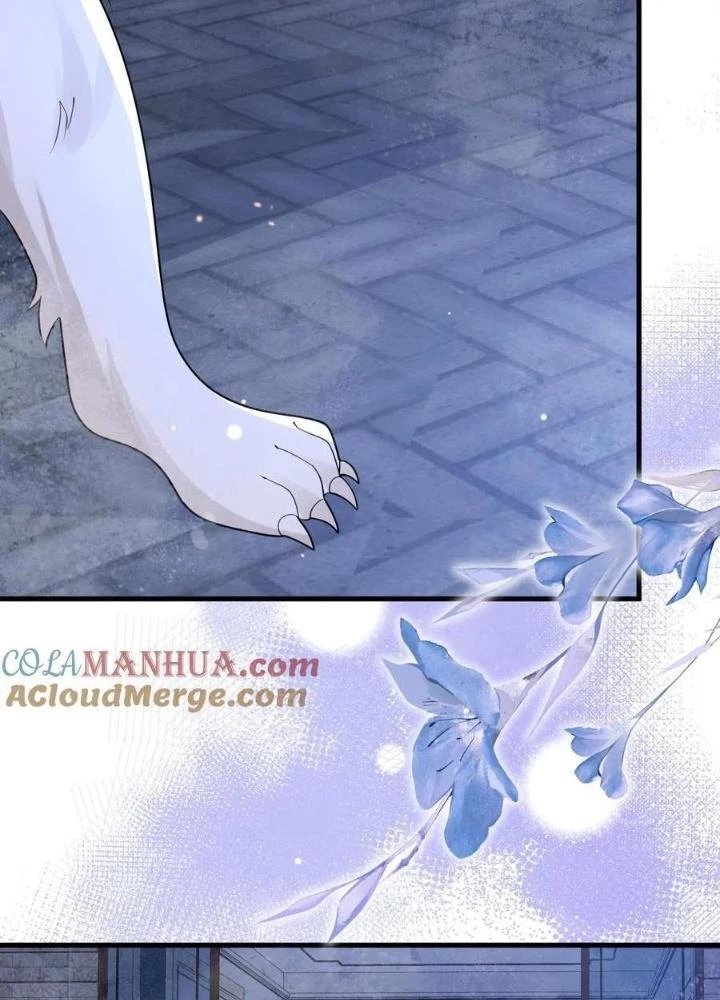 Tiểu Manh Bảo Bốn Tuổi Theo Sư Phụ Xuống Núi Chapter 223 - 57
