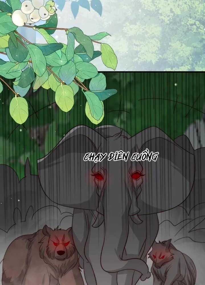 Tiểu Manh Bảo Bốn Tuổi Theo Sư Phụ Xuống Núi Chapter 247 - 65