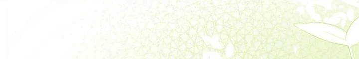 Tiểu Manh Bảo Bốn Tuổi Theo Sư Phụ Xuống Núi Chapter 250 - 30