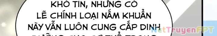Tiểu Manh Bảo Bốn Tuổi Theo Sư Phụ Xuống Núi Chapter 255 - 60