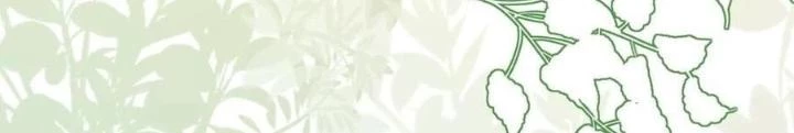 Tiểu Manh Bảo Bốn Tuổi Theo Sư Phụ Xuống Núi Chapter 285 - 36